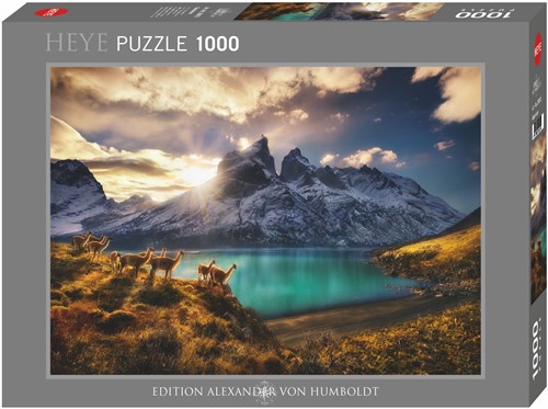 Heye legpuzzel Guanacos 1000 stukjes Alexander von Humboldt-2