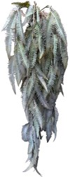 Roberts Collection kunst hangplant varen bruin 110cm decoratie
