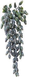 Roberts Collection kunst hangplant decoratie Hop spray bruin 80cm groen