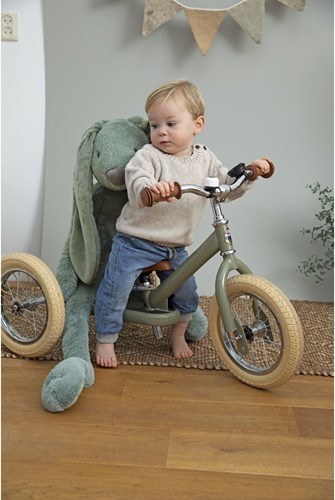 Happy Horse muziekknuffel Konijn Richie groen - rustgevend babycadeau-3
