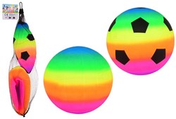 2 regenboog ballen in net maat 3 29661