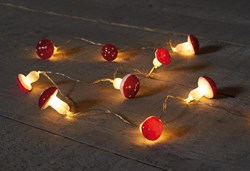 LEDVerlichting warmwit paddenstoel lichtsnoer 10 lampjes op batterijen