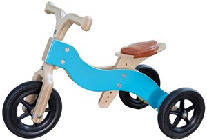 Van Dijk Toys Trike Blauw van dijk toys kopen in de aanbieding