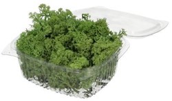 HBX natural living rendiermos groen decoratie 50 gram voor knutselen