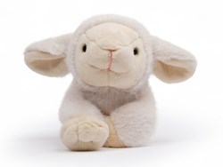 One Love knuffel lam Daisy wit - zachte pluche knuffel speelgoed