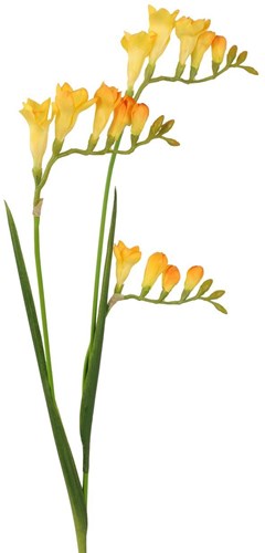 Roberts Collection kunstbloem freesia geel 83cm decoratie bloem
