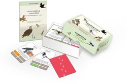 Luitingh Sijthoff Kwartetten met Vogels - Vier de vogels!