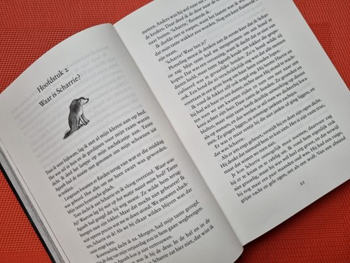 Querido kinderboek Umbrador - magisch avontuur groep 7 & 8-3