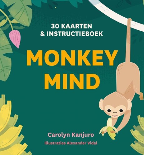 Gottmer Monkey mind (kaartenset)