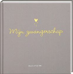 Image Books baby invulboek zwangerschap - herinneringen vastleggen