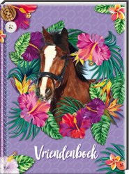 Image Books vriendenboek paarden voor kinderen 4+ met paarden thema