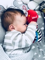Mom's Care SOFT BABY TOYS Mini Red Octopus 5