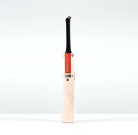 Gray-Nicolls cricket bat Legend Platinum Edition - Short Handle - Platinum