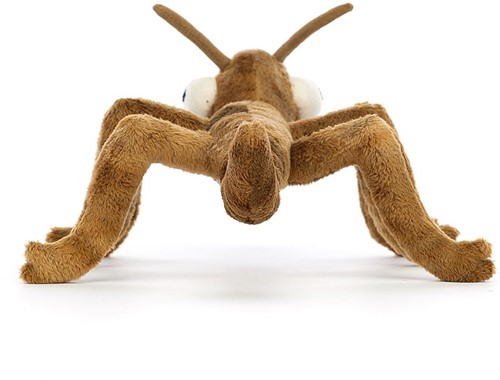 Jellycat Knuffel Stanley Stok Insect-3