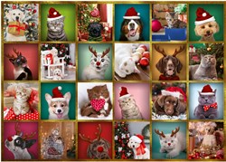 Trefl adventskalender dieren - speelgoed verrassing 42 stuks
