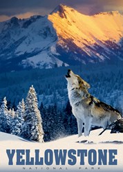 Alipson Puzzle Yellowstone Wolf - Legpuzzel 500 stukjes voor volwassenen