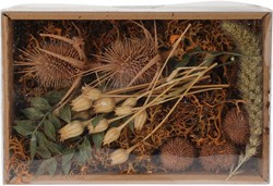 Home & Styling droogbloemen decoratie mix in doosje Nature bruin