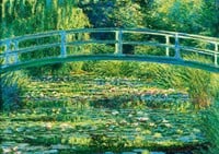 Bluebird puzzel Claude Monet - The Water-Lily Pond, 1899 - 1000 stukjes