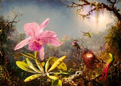 Bluebird puzzel Martin Johnson Heade - Cattleya Orchid and Three Hummingbirds, 1871 - 1000 stukjes