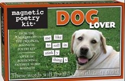 Magnetic Poetry