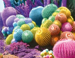 Nathan legpuzzel Cactus Rainbow - 2000 stukjes puzzel volwassenen