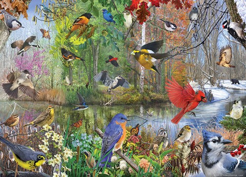 Cobble Hill puzzel 1000 stukjes - vogels legpuzzel landschap