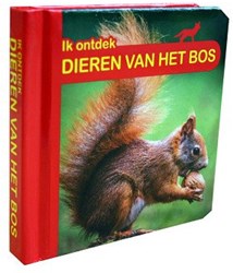 Mondikaarten dieren boek Ik ontdek dieren van het bos leerzaam