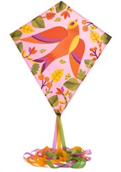 Djeco vlieger speelgoed Birdy - kleurrijke vlieger voor kinderen