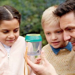 Hape insectenpot kleine ontdekker - educatief speelgoed natuur
