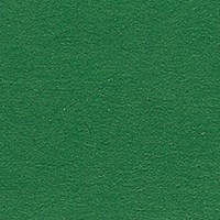 Folia fotokarton knutselpapier dennengroen 10 vellen 50x70 cm 300g