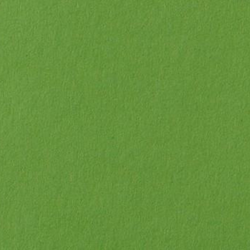Folia fotokarton grasgroen - 10 vellen 300gr 50x70 cm knutselpapier