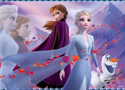 Nathan Frozen II legpuzzel - 45 stukjes - Disney puzzel voor kinderen