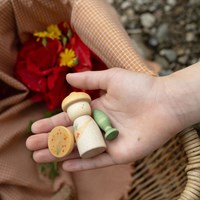 Grapat houten speelgoed lucky lucky third edition set-2