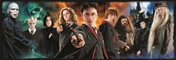 Clementoni Harry Potter puzzel panorama 1000 stukjes - legpuzzel volwassenen