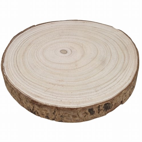 Hobbygroep houten boomstam schijf 25 cm decoratie voor knutselen