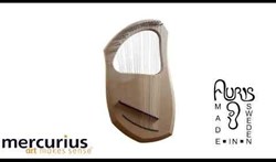 Auris snarenset chromatisch lier 30 snaren muziekaccessoire