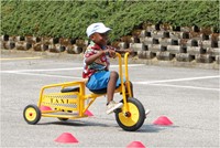 Italtrike Atlantic Tweezits Driewieler - Taxi