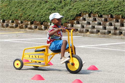 Italtrike Atlantic Tweezits Driewieler - Taxi