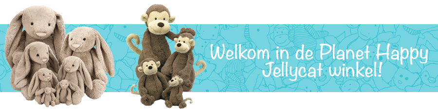 CMS - 1 - Intro banner