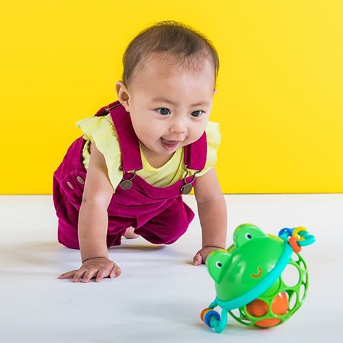 Oball activiteitenspeeltje Rinkel & Schud Kikker voor baby's-2