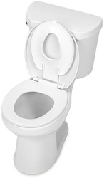 Flip & Sit Potty