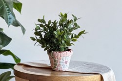 Little Creations DIY mozaïek bloempotten pastel - creatief knutselpakket
