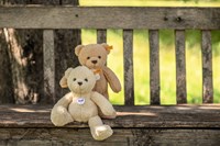 Steiff teddybeer Mila pluche knuffelbeer beige 30 cm - zacht speelgoed-3