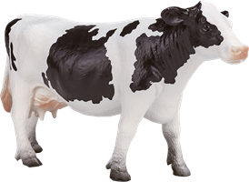 Boerderijdieren