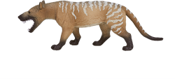 Mojo speelgoed dinosaurus Hyaenodon Gigas - 387157