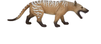 Mojo speelgoed dinosaurus Hyaenodon Gigas - 387157-2