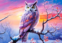Castorland puzzel uil legpuzzel - 500 stukjes kleurrijk speelgoed