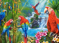 Castorland puzzel Parrot Meeting - 2000 stukjes legpuzzel