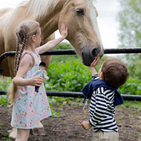 Lottie pop Pony Pals speelset - paarden speelgoed voor kinderen-3