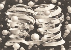 Puzzelman Puzzelman Band - M.C. Escher (1000)